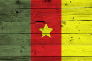 cameroon flagga med textur foto