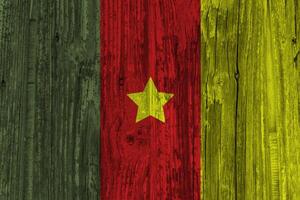 cameroon flagga med textur foto