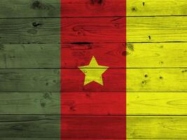 cameroon flagga med textur foto