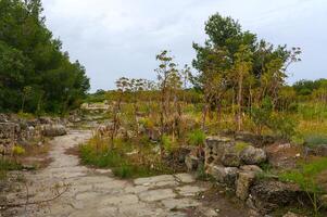 salamis, cypern - april 16, 2024 övergiven utgrävningar i ett gammal förstörd stad, Cypern. dålig attityd mot historisk monument foto