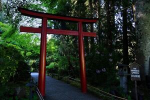 japansk trädgård de känd trädgårdar av slaktare på victoria ö. Kanada. de butchart trädgårdar foto