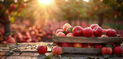 trä- spjällåda fylld med röd äpplen foto