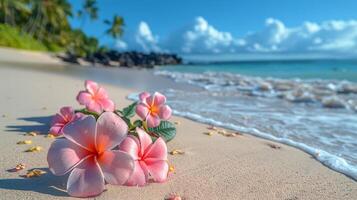 rosa blomma på sandig strand foto