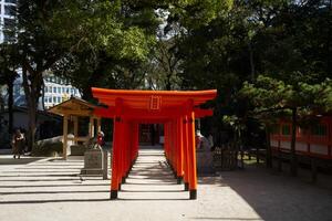 fukuoka, japan - december 7, 2023 - de många toriien grindar på sumiyoshi helgedom i fukuoka foto
