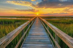 trä- gångväg ledande till solnedgång över kärr foto