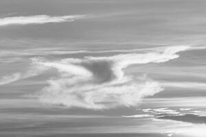whispy moln i svartvit foto