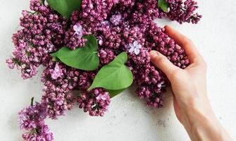 hand innehav en lila blomma knippa foto