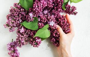 hand innehav en lila blomma knippa foto