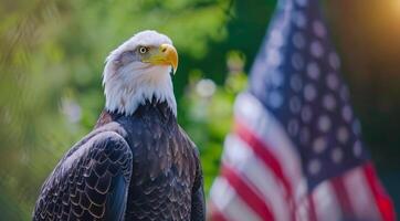 en skallig Örn står i främre av ett amerikan flagga foto