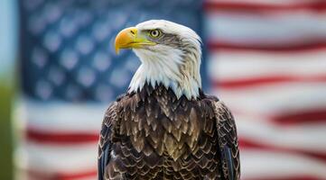 en skallig Örn står i främre av ett amerikan flagga foto