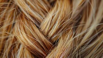 ett extrem närbild av en enda strå av hår visa upp dess unik mönster och textur. foto