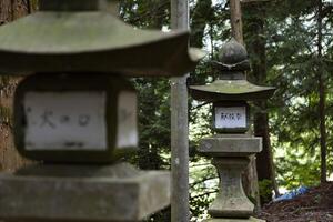 gammal sten lyktor på japansk gammal helgedom på de landsbygden främre fläck foto