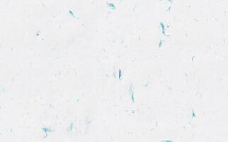 handgjort ris fibrer blå blommor papper textur för klippbok bakgrund foto
