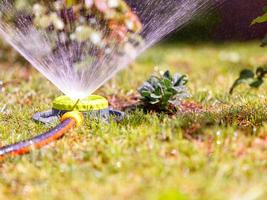 en bärbar sprinkler häller gräsmatta och blommor i en sommarträdgård och räddar växter från middagsvärmen. foto