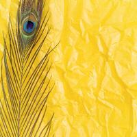 de textur av skrynkliga ljus gul papper med slingor och en påfågel fjäder foto