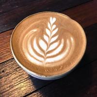 cappuccino trädformat kaffe i klarvita koppar foto