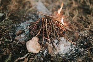 eld läger lägereld flamma bushwood foto