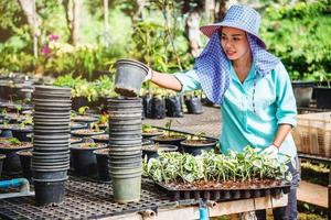 glad arbetare asiatisk kvinna med att plantera blommor som tar hand om blommor i växthuset. foto