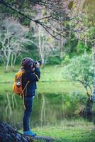 resa natur kvinna fotograferad vilda himalaya körsbär på paphiopedilum orkidé bevarandecenter, chiangmai foto