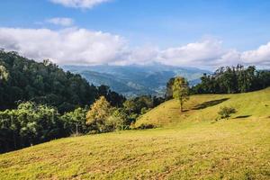 bakgrund vackert naturlandskap på berget utsiktspunkt. på fårfarm doi pha tang i thailand foto