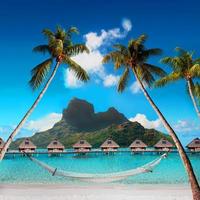 vacker tropisk paradisstrand med vit sand och kokospalmer på blått havspanorama. foto