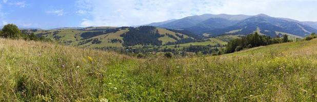 vackert panorama av Karpaterna på sommaren mot bakgrund av grönt gräs, blå himmel och ljusa vita moln. foto