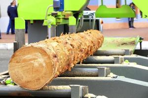träbearbetning, en stor stock på övergången till ett modernt sågverk. foto