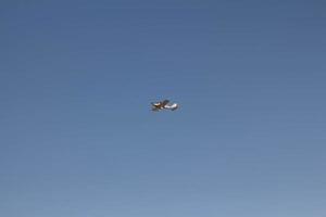 flygplan med propellrar flyger på himlen i landet, i Israel foto