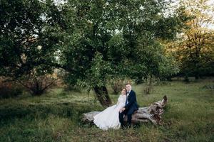 brudgummen och bruden går i skogen nära en smal flod foto