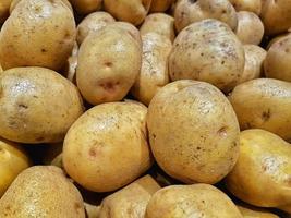 potatis färsk frukt och rik på antioxidanter, vitamin och fibrer på trendig mynta. foto