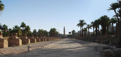 egyptiska avenyn av sfinxer nära templet av Luxor. egypten foto