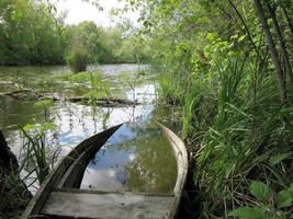 gammal trä trasig båt för simning på banker vatten i naturlig vass