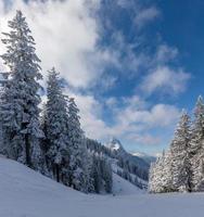 skidbackar med utsikt över majestätiska alptoppen i garmisch partenkirchen foto