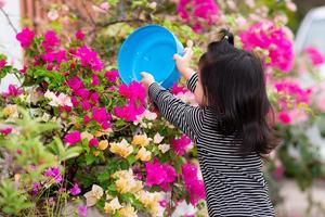 bakåtsikt. barn som använder blå skål vattnar rosa blomma som kallas bougainvillea. barnträning hjälper till med hushållsarbete. foto