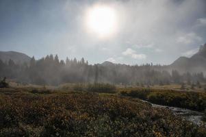 landskap stenigt berg med dimmig och höstskog på morgonen vid assiniboine provinsparken foto