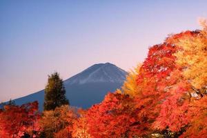 Mount Fuji över röd lönnträdgård av ljus upp höstfestivalen i kawaguchiko sjön