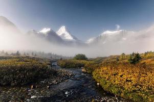 Mount assiniboine i dimmigt på gyllene fältet i provinsparken i brittisk columbia foto