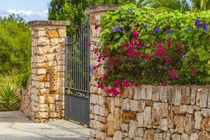 typiska hus entréport med rosa trillingblommor mallorca spanien. foto