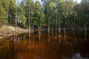 utsikt över sjön i geoparken i leknica foto