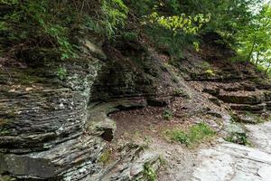 robert h treman State Park Gorge Trail foto