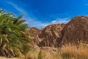 bergslandskap i sinai egypten foto