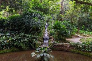 sjön frei leandro i Rio de Janeiros botaniska trädgård i Brasilien foto