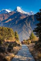 vandringsled till utsiktspunkten Poon Hill i nepal. Poon hill är den berömda utsiktspunkten i byn Gorepani för att se vacker soluppgång över bergskedjan Annapurna i nepal foto