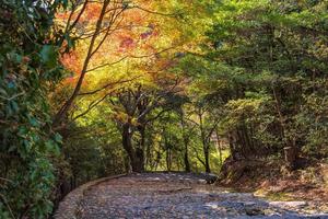vacker natur vid Arashiyama under höstsäsongen i Kyoto, Japan. arashiyama är ett landmärke för turister i Kyoto.