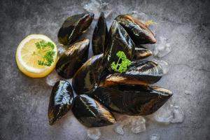 råa musslor med örter citron och mörk tallrik bakgrund - färska skaldjur skaldjur på is i restaurangen eller till försäljning på marknaden mussel skalmat foto