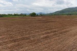 plogfält förberett för plantering av grödor på våren - plöjt fält med lastbil på jordbruksgårdsbygden foto