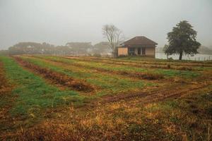 landsbygdslandskap med odlade fält, bondgård och sjö i en dimmig dag nära bento goncalves. en vänlig lantstad i södra Brasilien känd för sin vinproduktion. foto