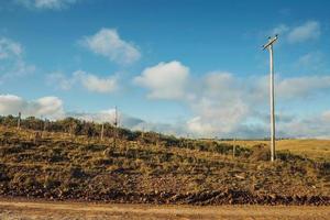 ljusstolpar på öde grusväg som passerar genom landsbygdens lågland som kallas pampas nära cambara do sul. en liten lantstad i södra Brasilien med fantastiska naturliga turistattraktioner. foto