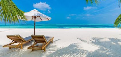 tropisk strandbakgrund som sommarlandskap med solstolar och palmer och lugnt hav för strandbanner foto