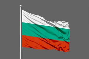 bulgarien viftar med flaggan foto